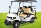 4人座のゴルフカート 全地形用 中国 自動車 電動ゴルフ トロッキー