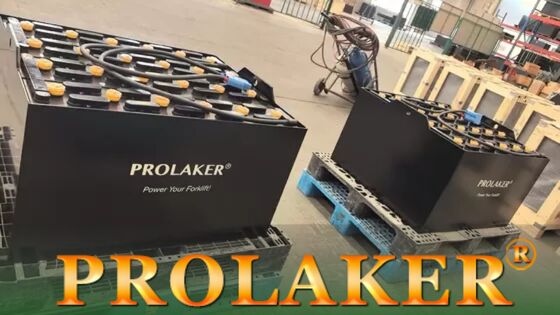 ハイパフォーマンス充電式鉛蓄電池フォークリフトトラクションバッテリー 48v 5PZS625 Hyster R30XMS2用
